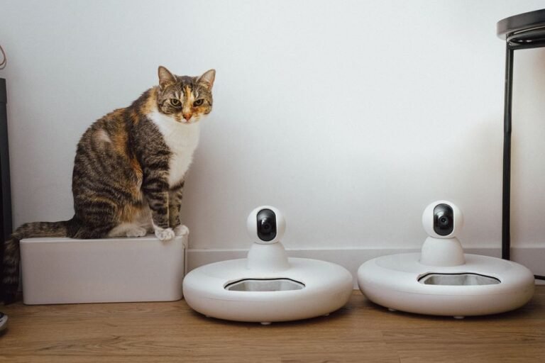 smart pet feeder