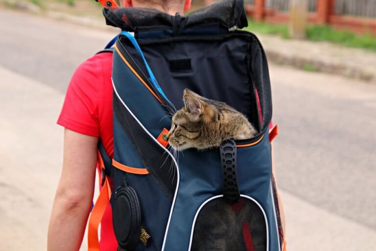 cat dog carrier