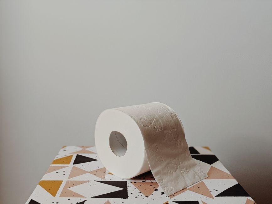 top entry litter box