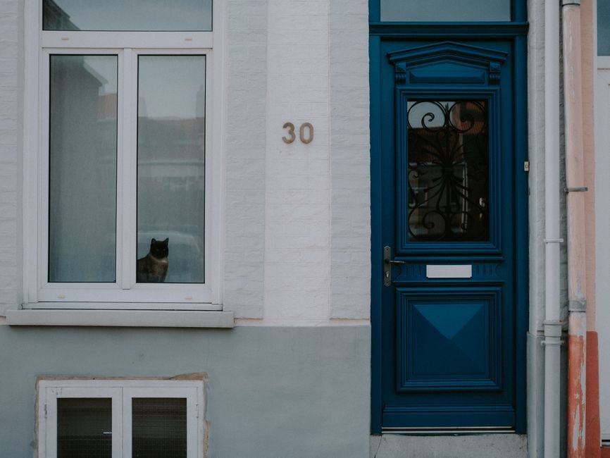 microchip cat door