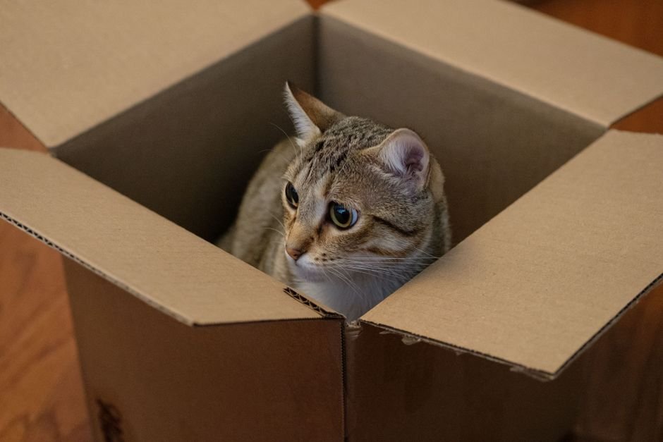 low-dust clumping cat litter