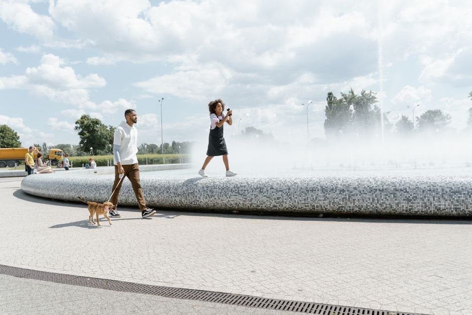 pet water fountain