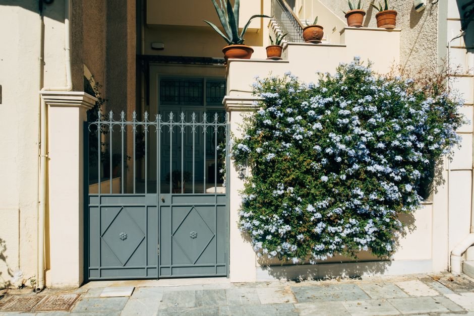 litter box gate