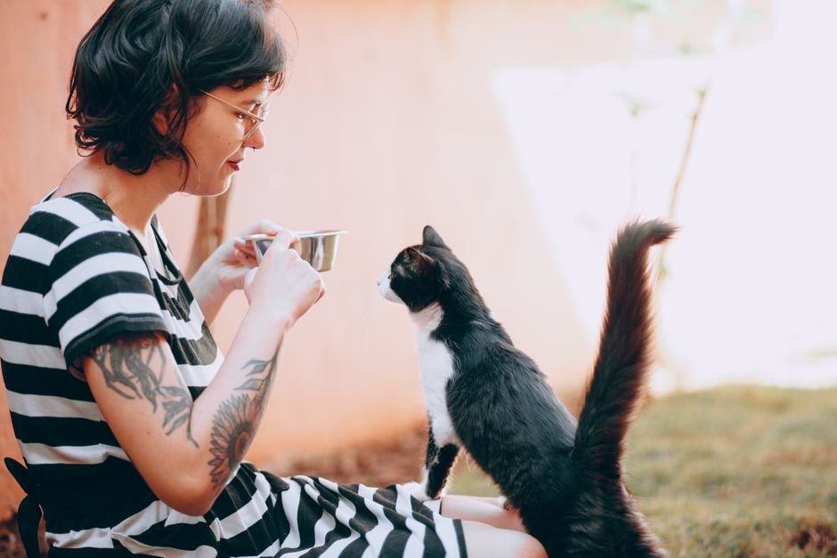 automatic pet feeder