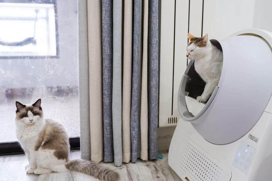 low-dust low-tracking cat litter