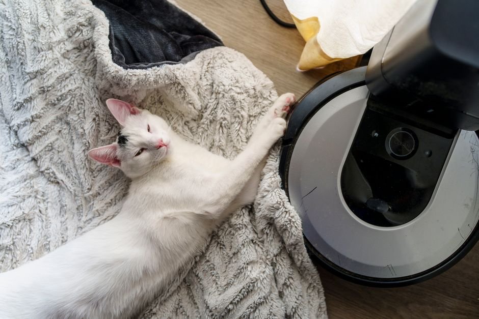 robot vacuum pets