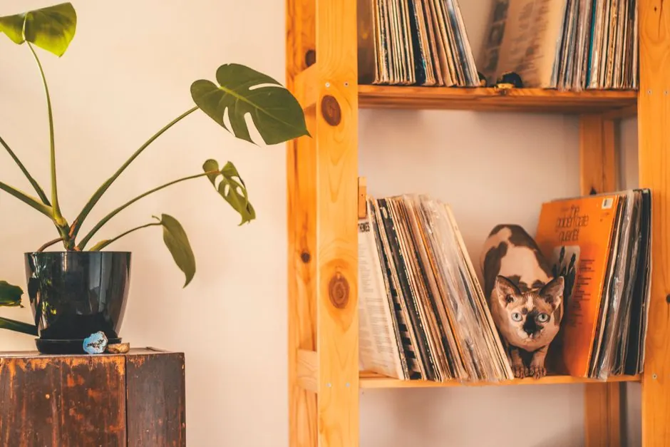 wall-mounted cat perch shelf